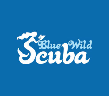 Blue Wild Scuba